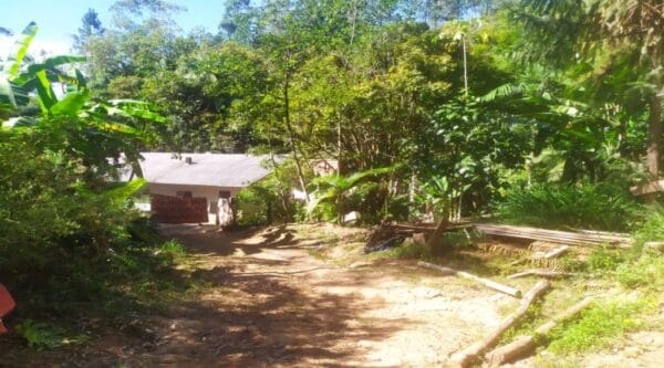 VENDE-SE ÓTIMA ÁREA RURAL - Image 10