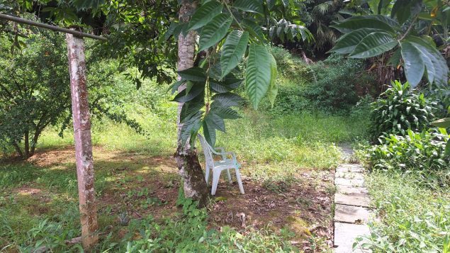 WhatsApp Image 2026-03-18 at 14.41.04 (1)